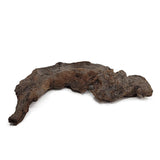 Blackwood Small