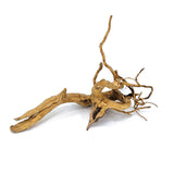 Spider Wood