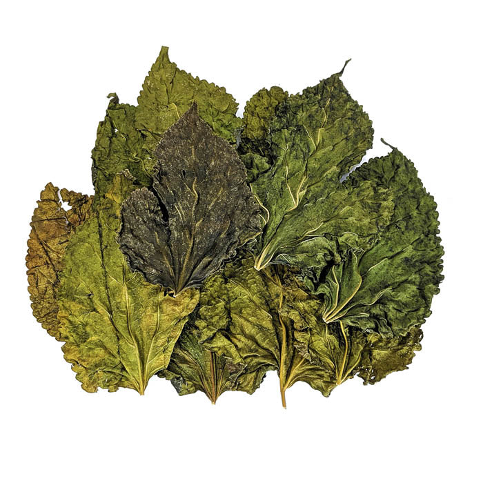 Botanicals – NorthFinUSA Botanicals – NorthFinUSA
