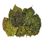 Mulberry Leaf Pack